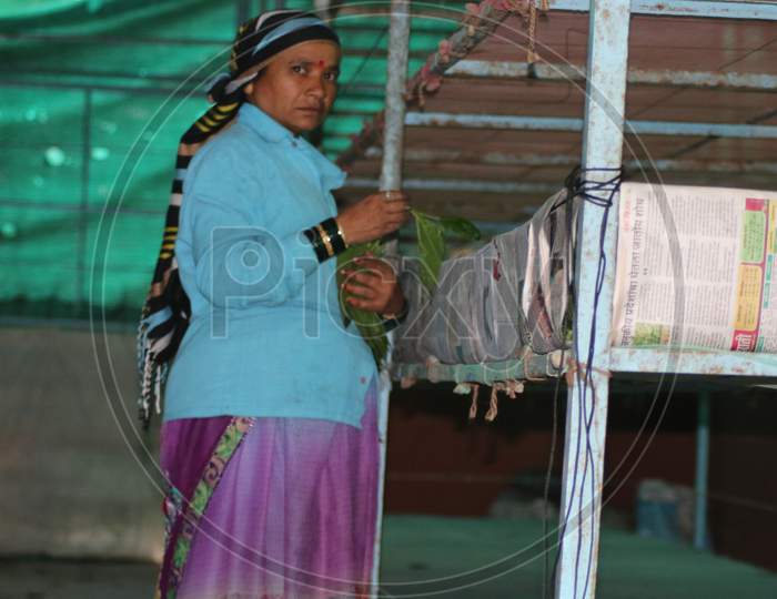 women taking care of the silk worms