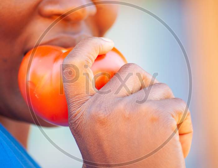 A Woman Eating A Red Ripe Tomato.Macro