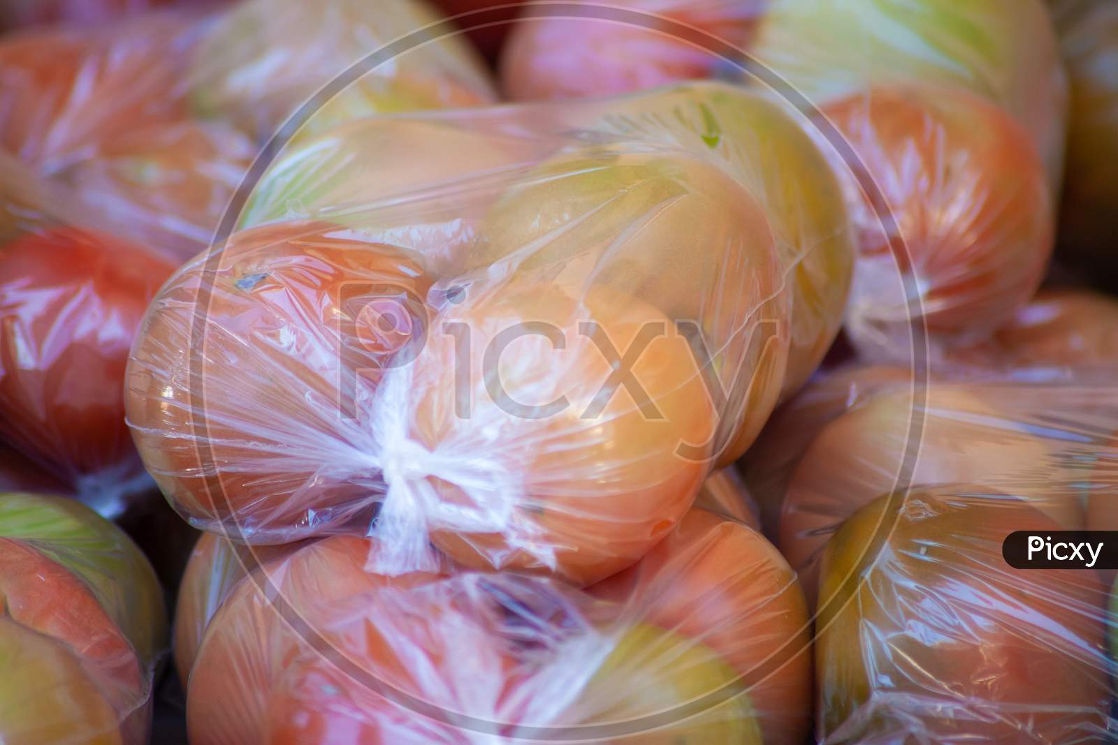 Ripe Tomatoes Packaged.Fully Grown