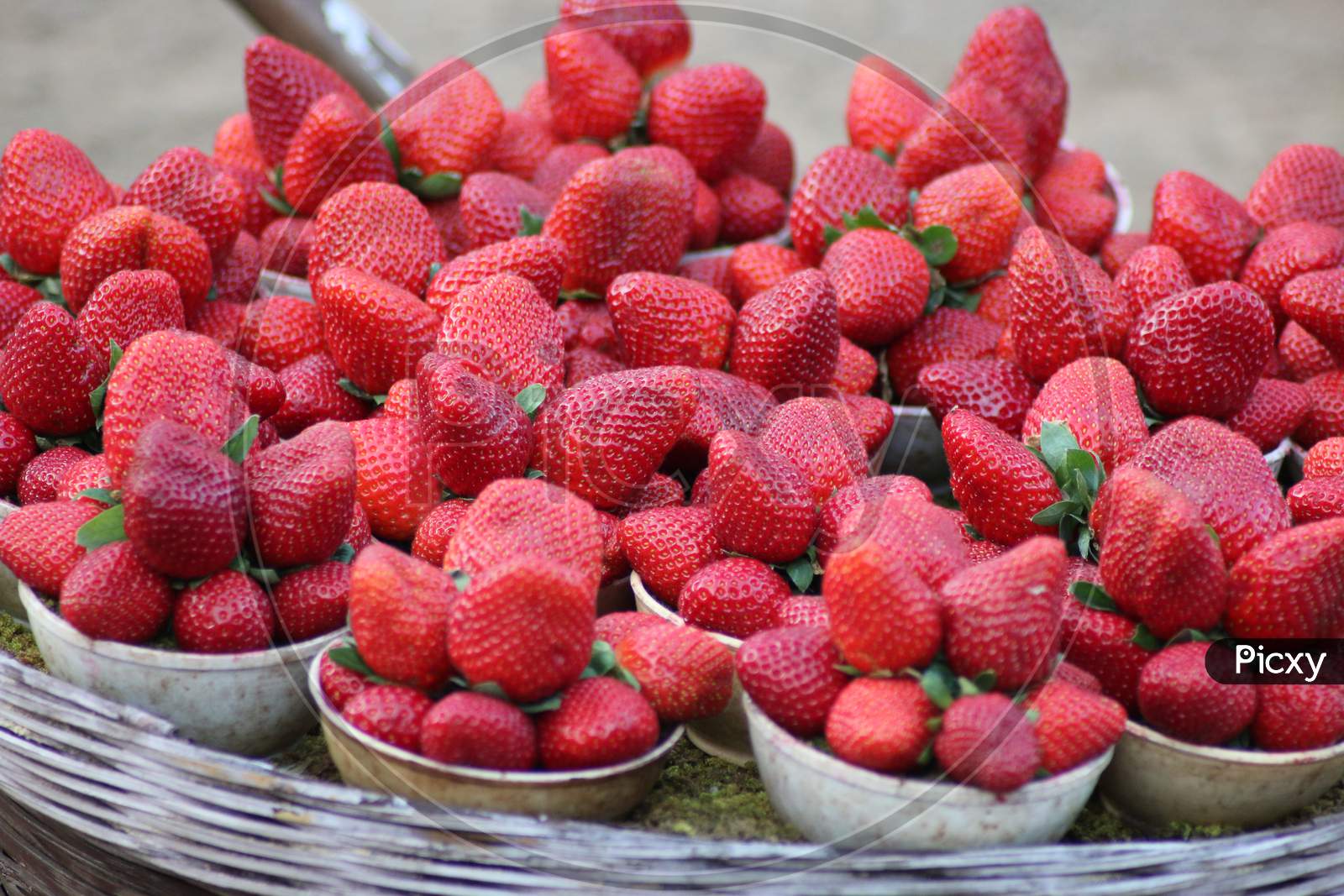 strawberries for sell in Mahabaleshwar