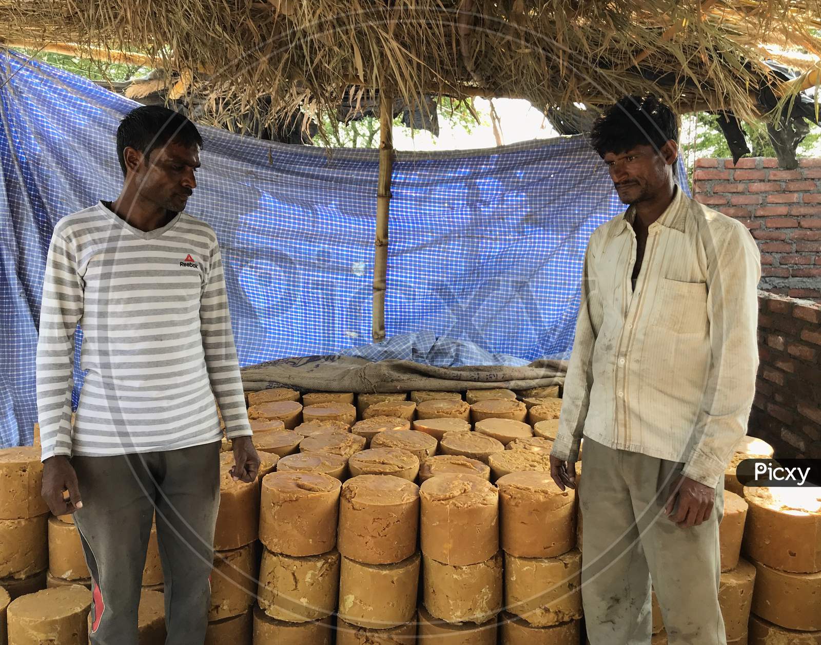 Men Showing Jaggery Stock Made By Sugarcane Juice