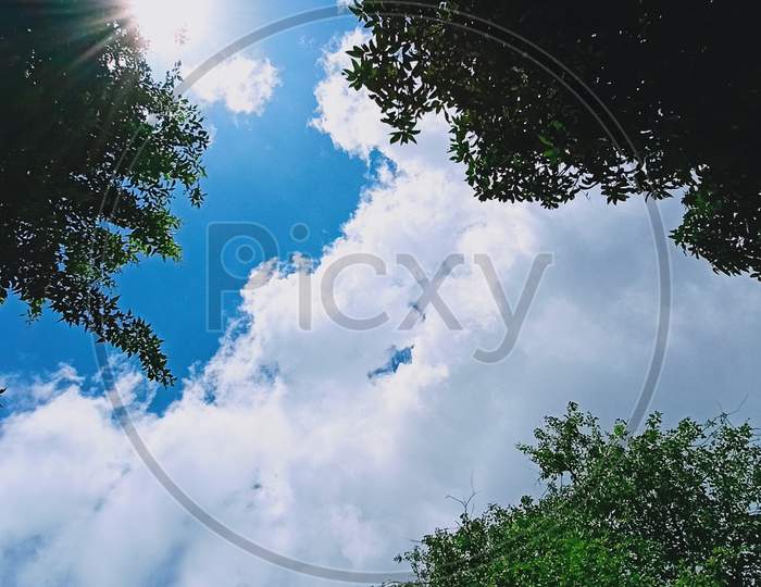 Branches Of A Tree Against A Blue Cloudy Sky