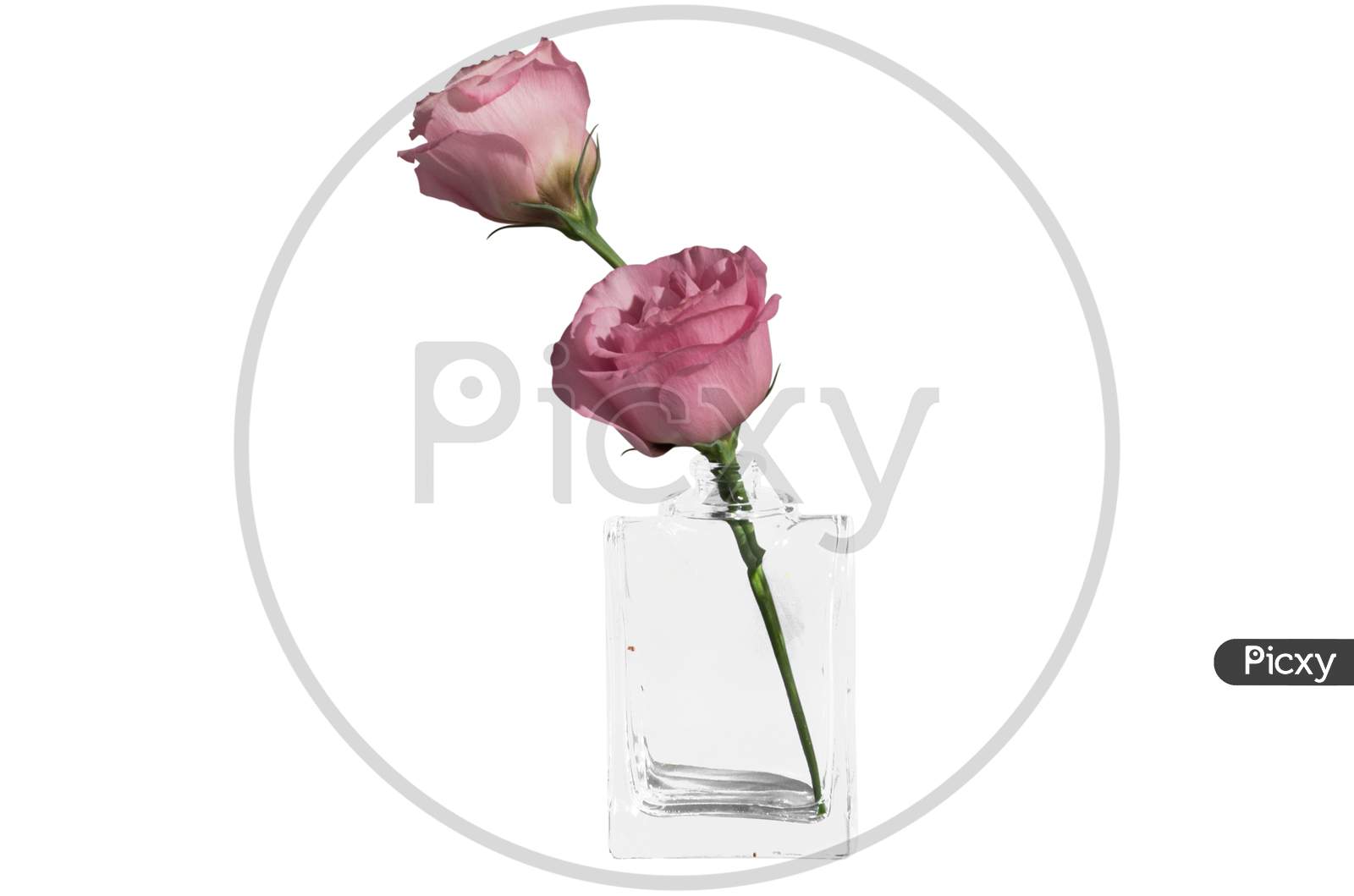 Glass Vase With Bouquet Flower Transparent Background