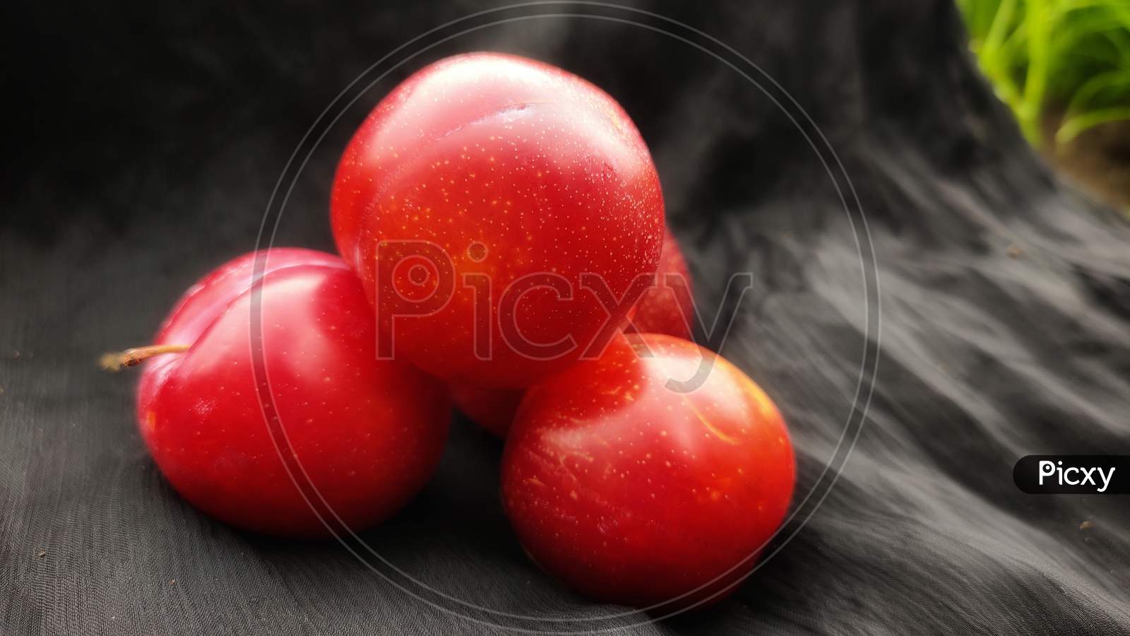 Red plum on black background