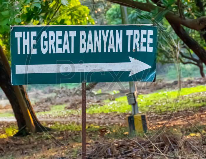 The Acharya Jagadish Chandra Bose Indian Botanic Garden Of Shibpur, Howrah Near Kolkata.