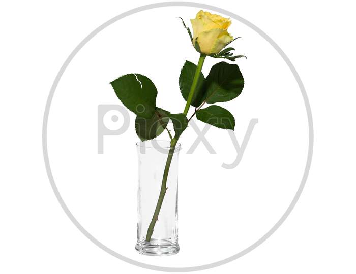 Glass Vase With Bouquet Flower Transparent Background