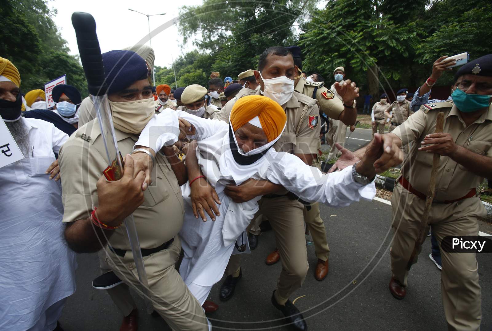Police arrest to activists of Shiromani Akali Dal (SAD) during a protest against state government near Punjab Governor House in Chandigarh August 9, 2020.
