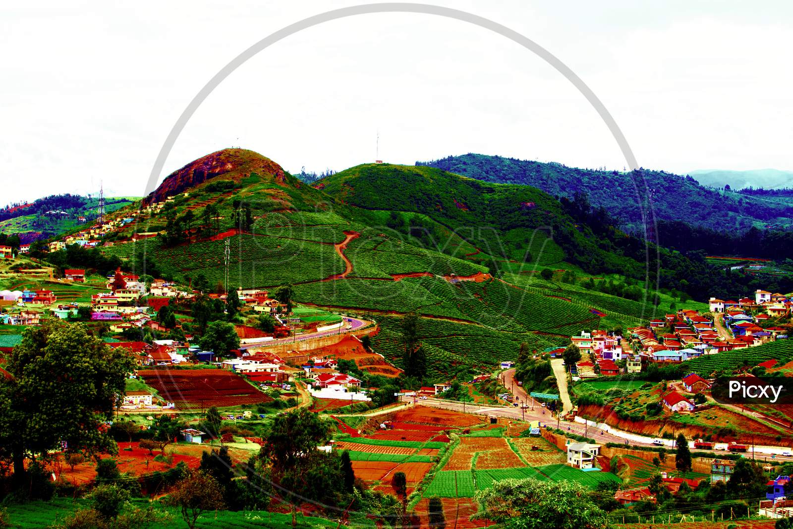 Landscape , mountain village with tea garden and green trees