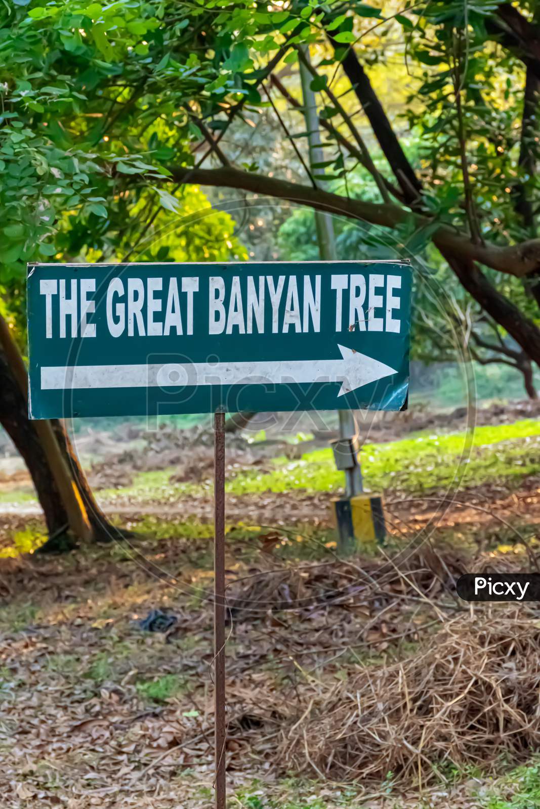 The Acharya Jagadish Chandra Bose Indian Botanic Garden Of Shibpur, Howrah Near Kolkata.