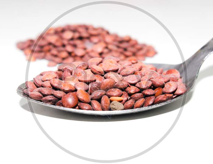 A picture of lentil with white background