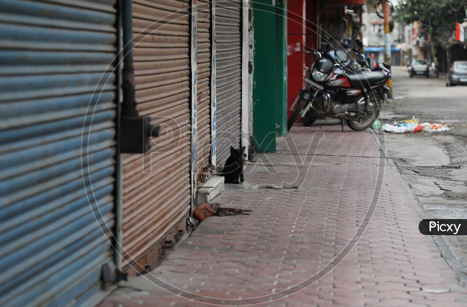 Deserted look of a market during complete lockdown on weekends to curb COVID-19 spread, in Jammu, on August 9 ,2020.