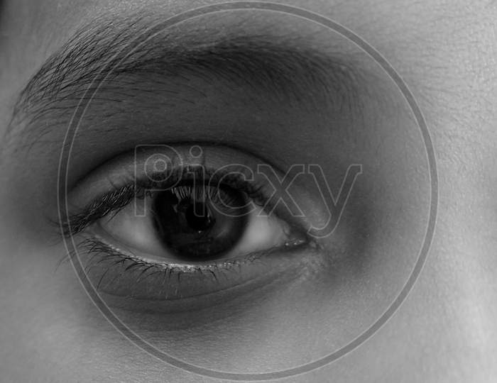 Closeup Shot Of Young Boy Eye In Black & White