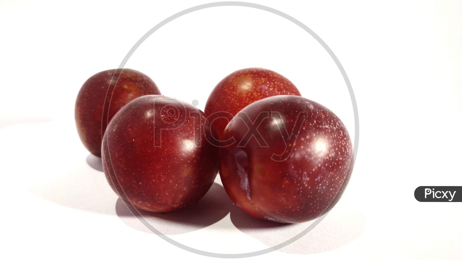 Red plum on white background