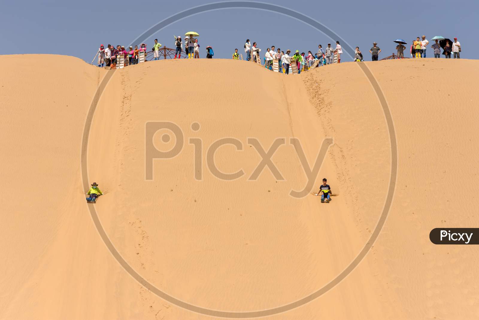 Sand Dune Sledging In Kubuqi Desert In Inner Mongolia, China