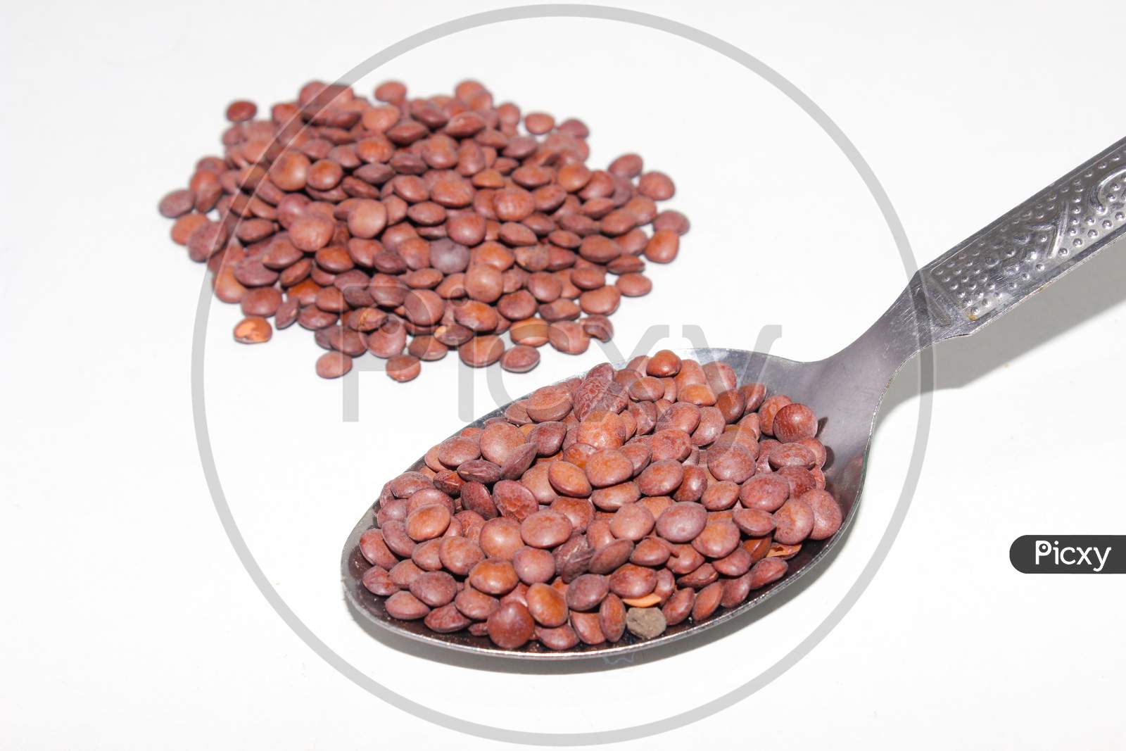 A picture of lentil with white background