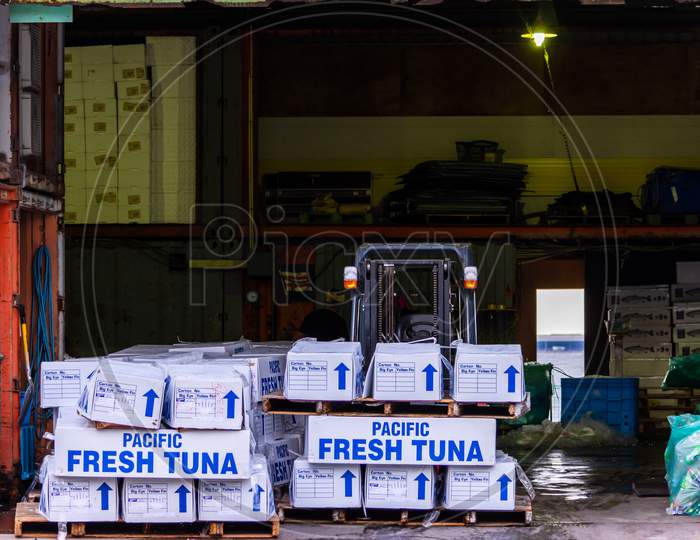 Boxes Of Pacific Fresh Tuna In A Fishing Storage Facility In Osaka, Japan