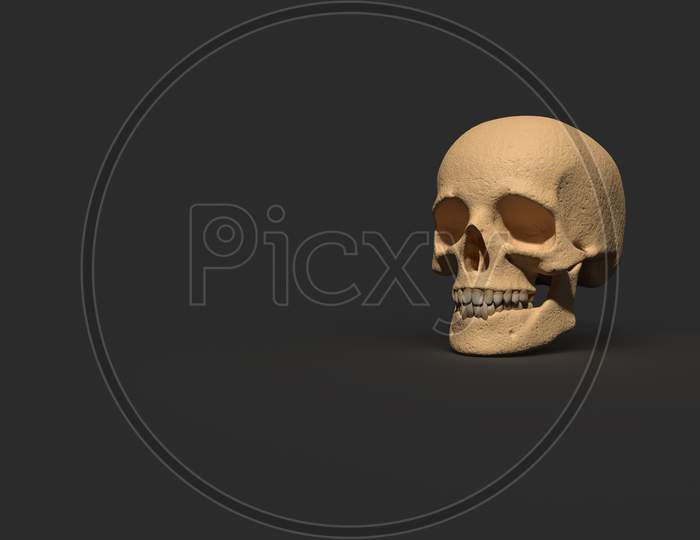 Front View Of Human Skulls Isolated In Black Background, 3D Rendering
