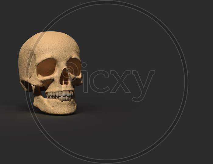 Front View Of Human Skulls Isolated In Black Background, 3D Rendering