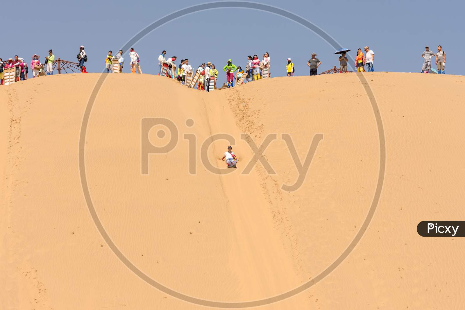 Sand Dune Sledging In Kubuqi Desert In Inner Mongolia, China