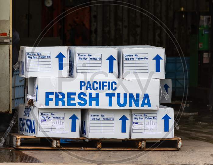 Boxes Of Pacific Fresh Tuna In A Fishing Storage Facility In Osaka, Japan