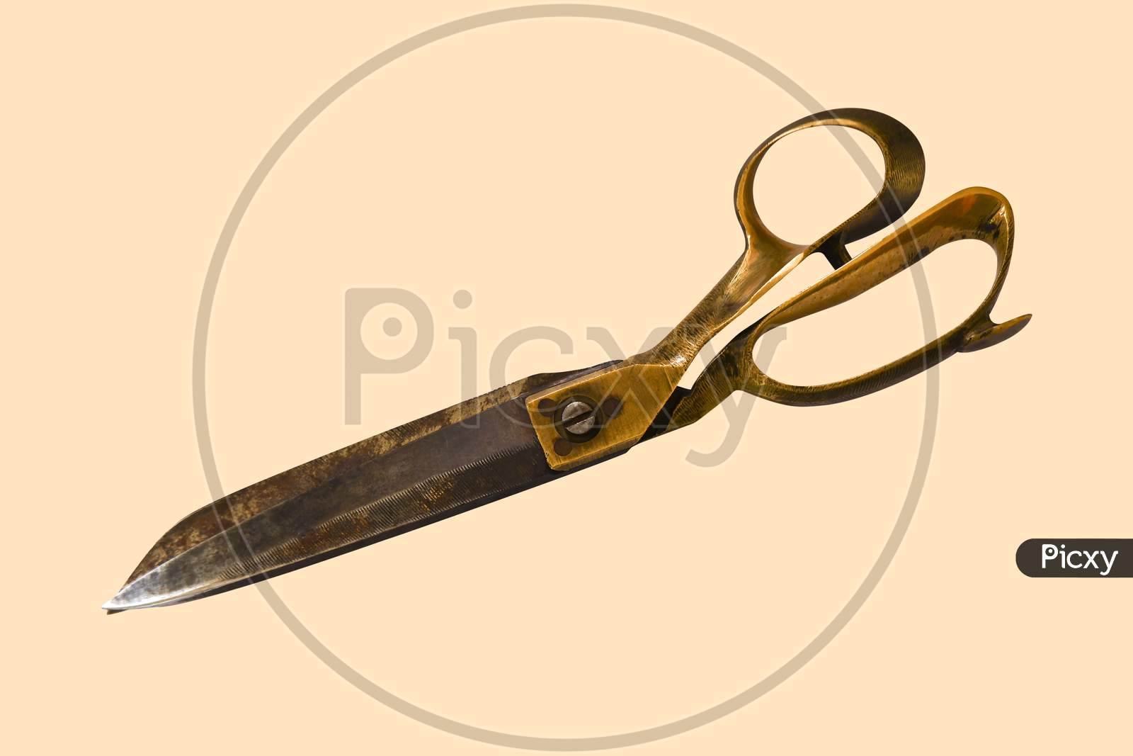 Rusty Tailor Scissor Isolated On Cream Color Background