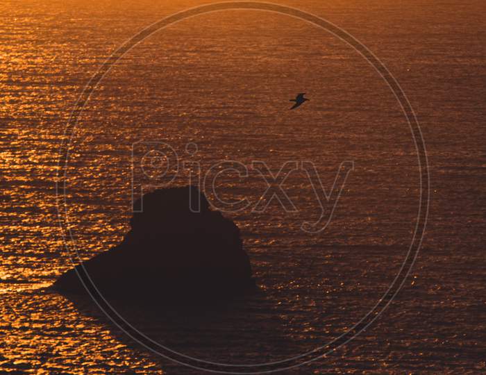 Seagull Flying Over The Ocean During A Sunset With Orange Tones