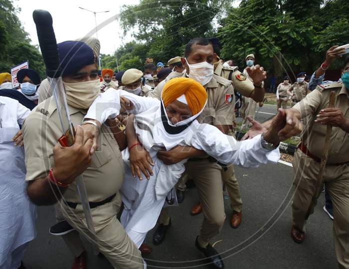 Police arrest to activists of Shiromani Akali Dal (SAD) during a protest against state government near Punjab Governor House in Chandigarh August 9, 2020.