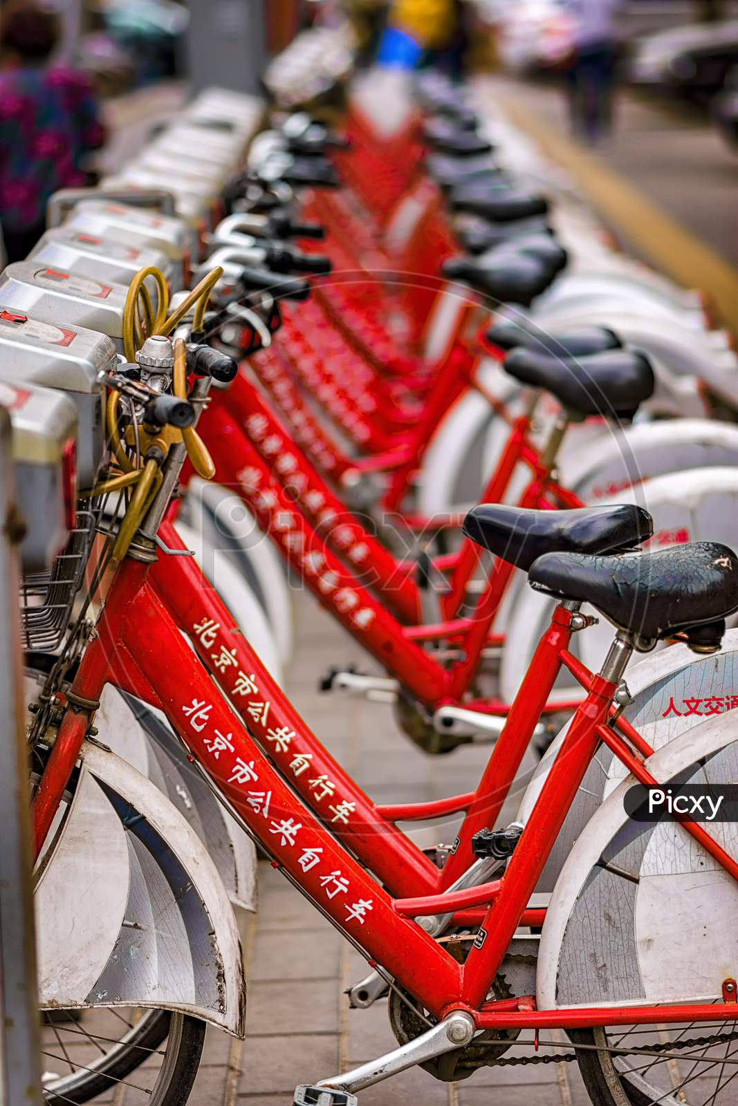Row Of Beijing City Public Bicycles, Beijing, China