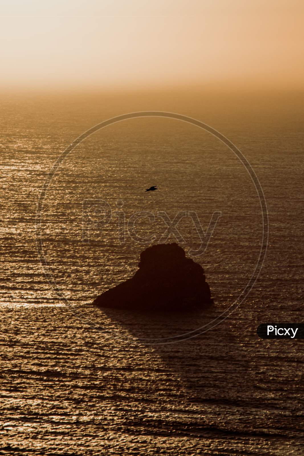Seagull Flying Over The Ocean During A Sunset