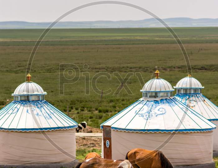 Horses Grazing Next To The Yurt Tents In Steppes Of Inner Mongolia, China