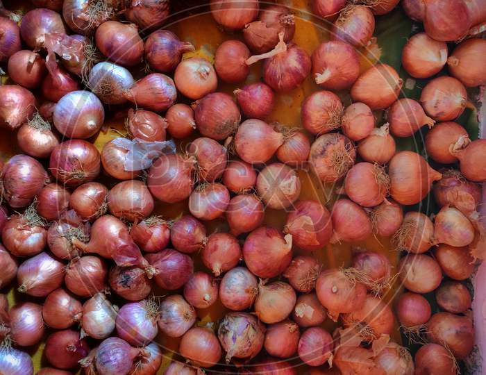 Indian Fresh Red Indian Onions, Pyaz