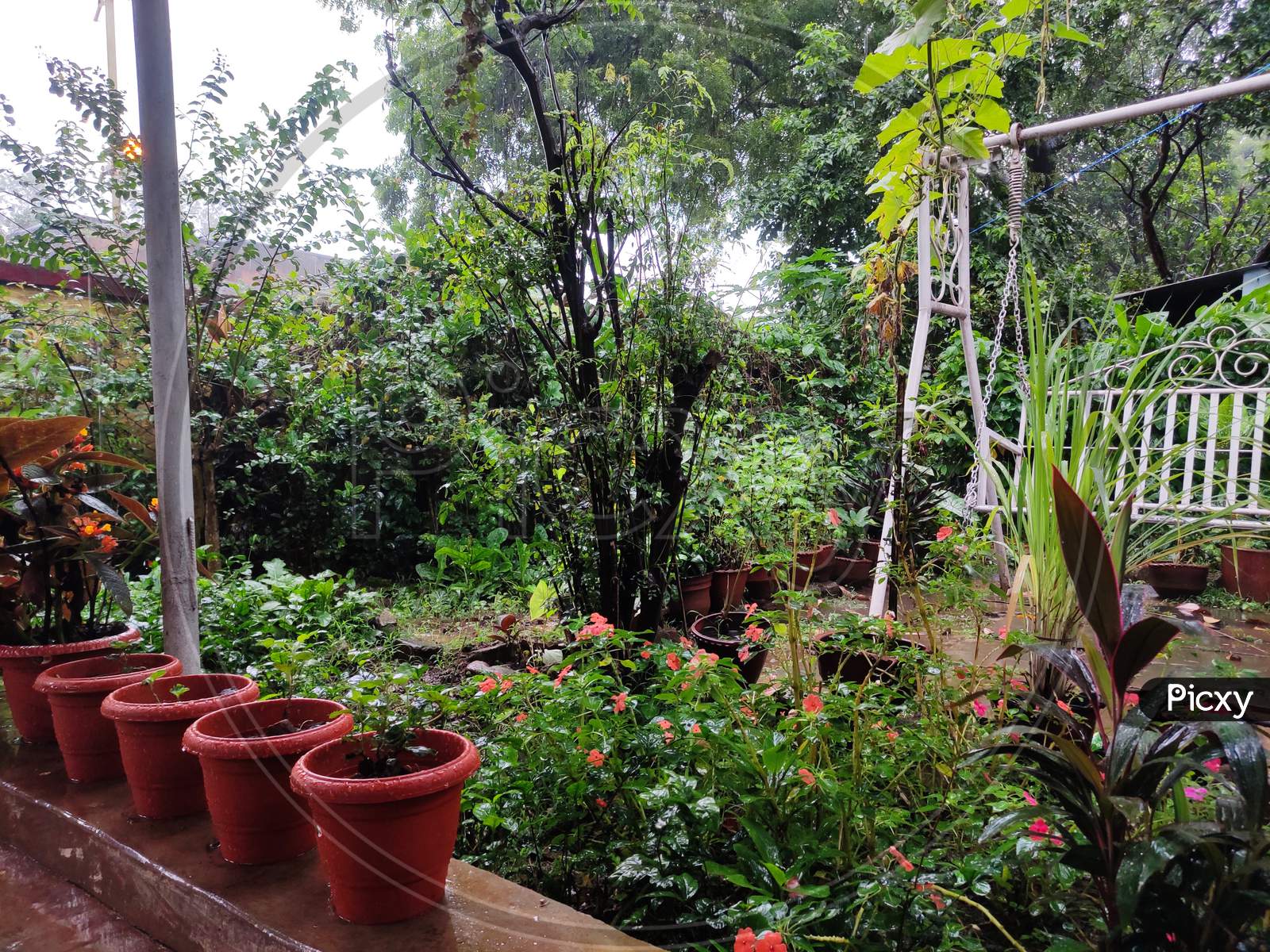 A home garden