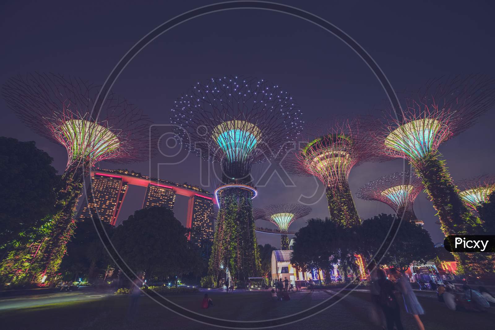 Gardens by the Bay Garden City Night Lighting, Singapore 2019e