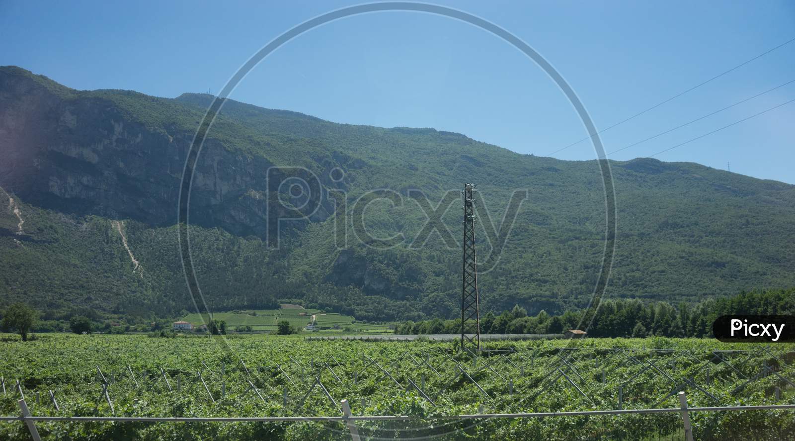 Italy, Train From Bolzano To Venice, A Field With A Mountain In The Background