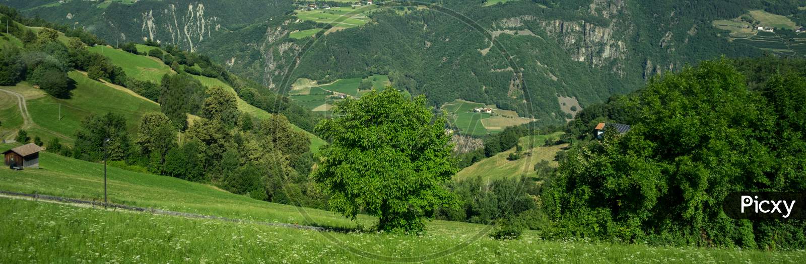 Italy, Train From Bolzano To Venice, A View Of A Lush Green Hillside