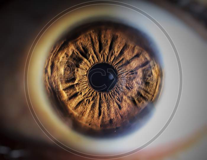 Eye photography