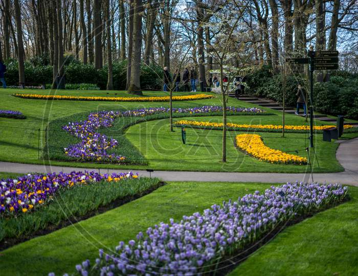 Flower Garden, Netherlands , A Close Up Of A Flower Garden