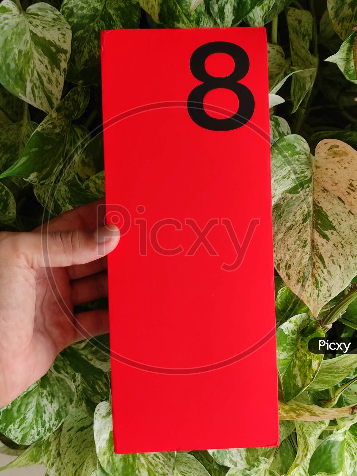 OnePlus 8 pro Detail Box