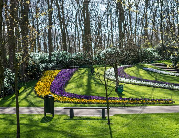 Flower Garden, Netherlands, , A Wooden Park Bench Sitting In The Middle Of A Forest