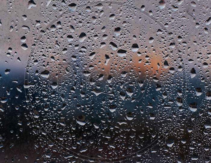 Rain drop moisture photography