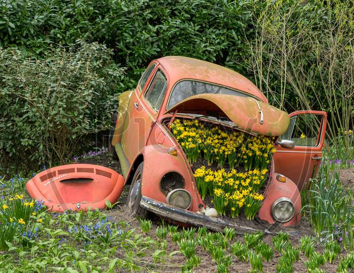 Flower Garden, Netherlands , A Close Up Of A Toy Car In A Garden
