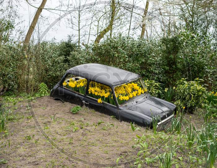 Flower Garden, Netherlands , A Train That Is Sitting In The Grass