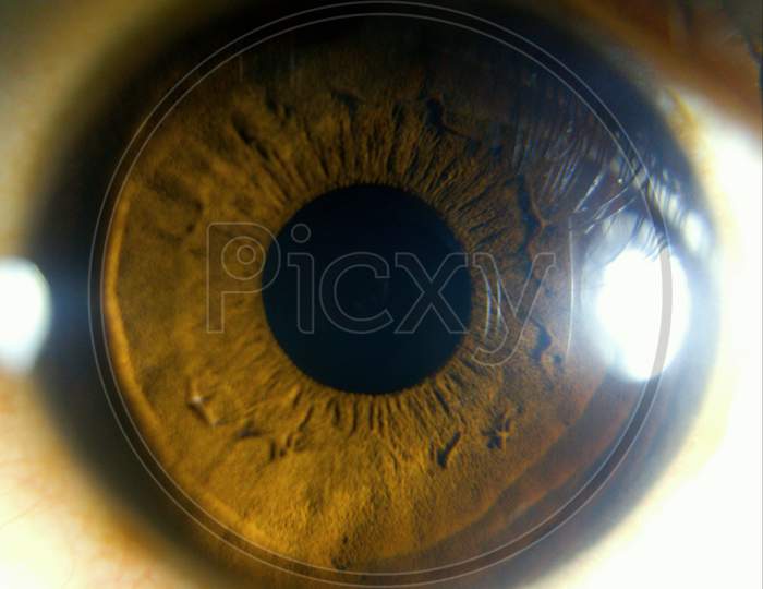 Eye macro shot, Human eye, Brown eye