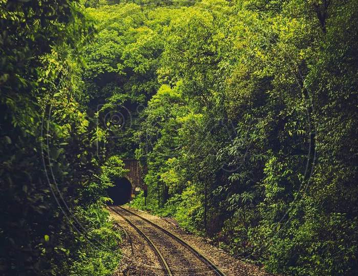 Green nature tunnel track