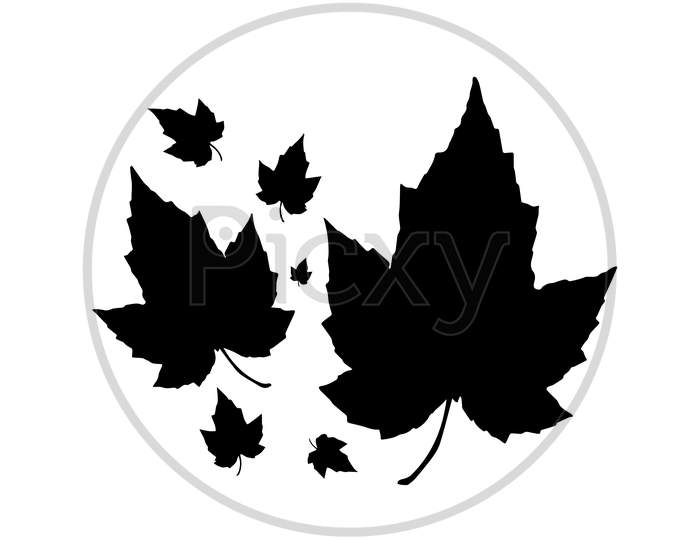 Maple Leaves Silhouette