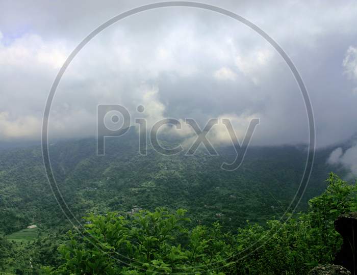 Beautiful landscape with forest and pines and fog and low clouds in the mountains.