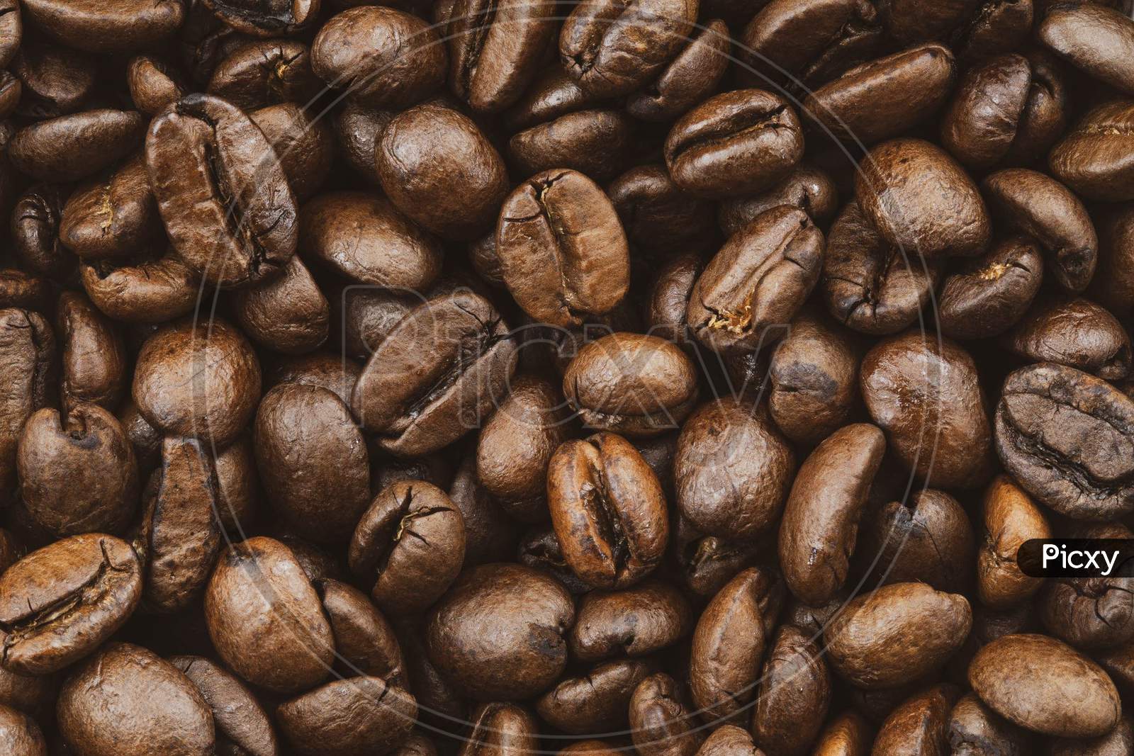 brown,bean,caffeine,food,kona coffee,coffee,