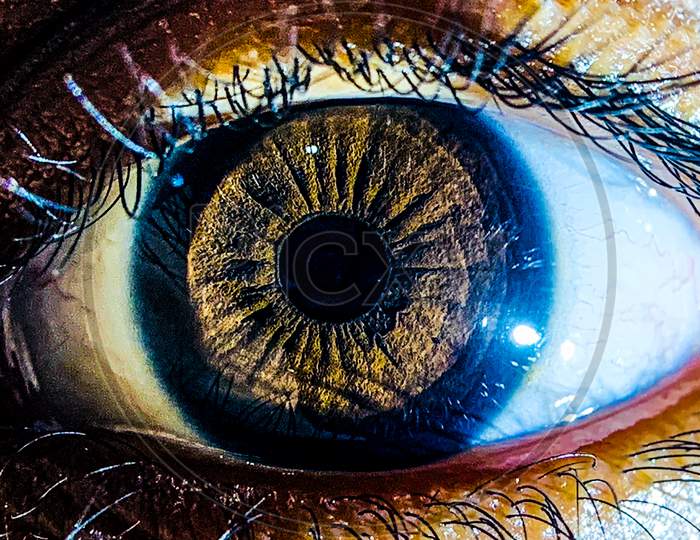 Human eye, macro