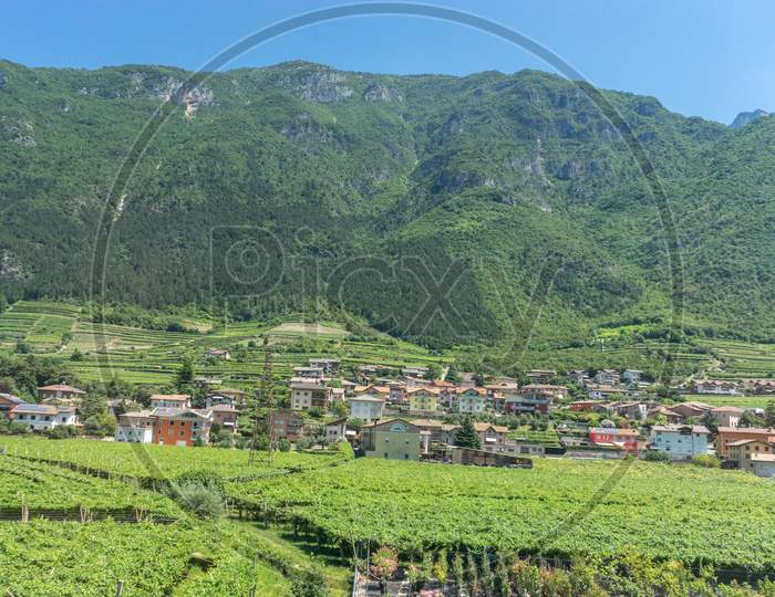 Italy, Train From Bolzano To Venice, Scenic View Of Field Against Sky Wineyard