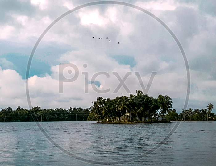 Island, Water, Kuttanad , Backwaters, Palms, Kerala, nature, greenery, coconut